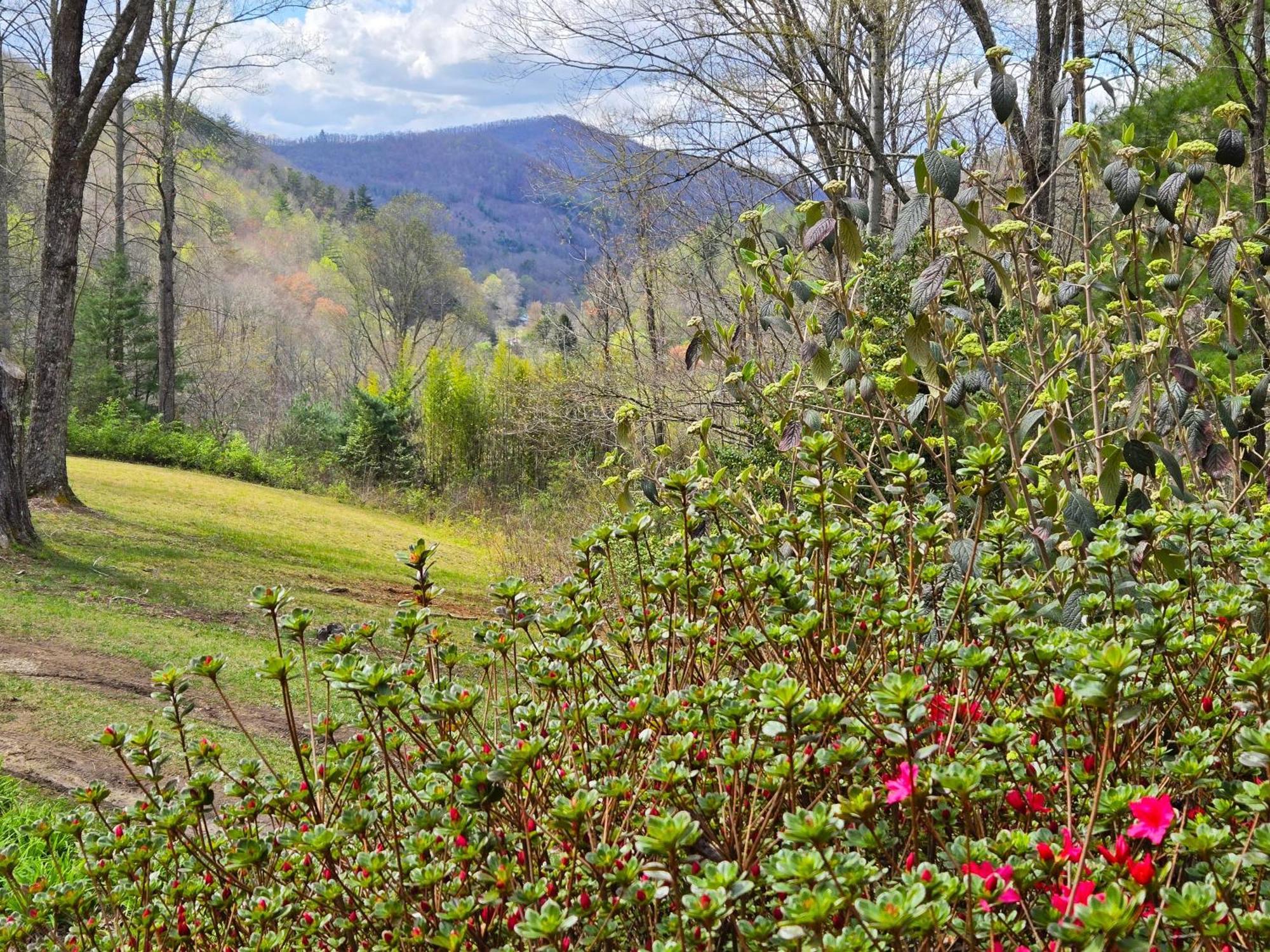 Bryson City Creekside Home With Hot Tub- 3 Bedroom-2 Bath Home Luaran gambar